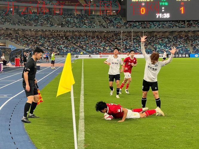 新皇冠体育备网, 解读新皇冠体育备网的安全性与可靠性，确保您的投注无忧