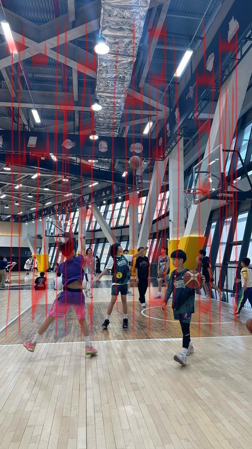 动因体育皇冠室内篮球, 探索动因体育皇冠室内篮球的魅力与职业发展机会