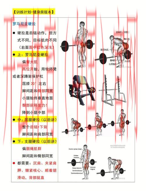 体育皇冠登2和登3区别, 深入解析体育皇冠登2与登3之间的功能和特点差异