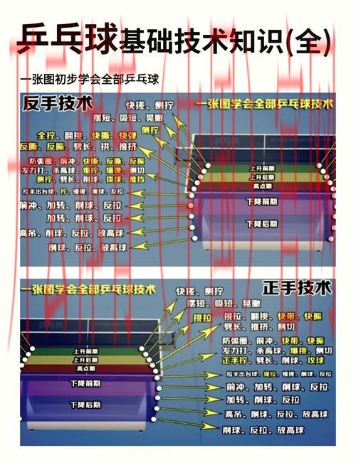 皇冠中心体育乒乓球, 如何提升乒乓球技术？皇冠中心体育提供的课程与服务解析