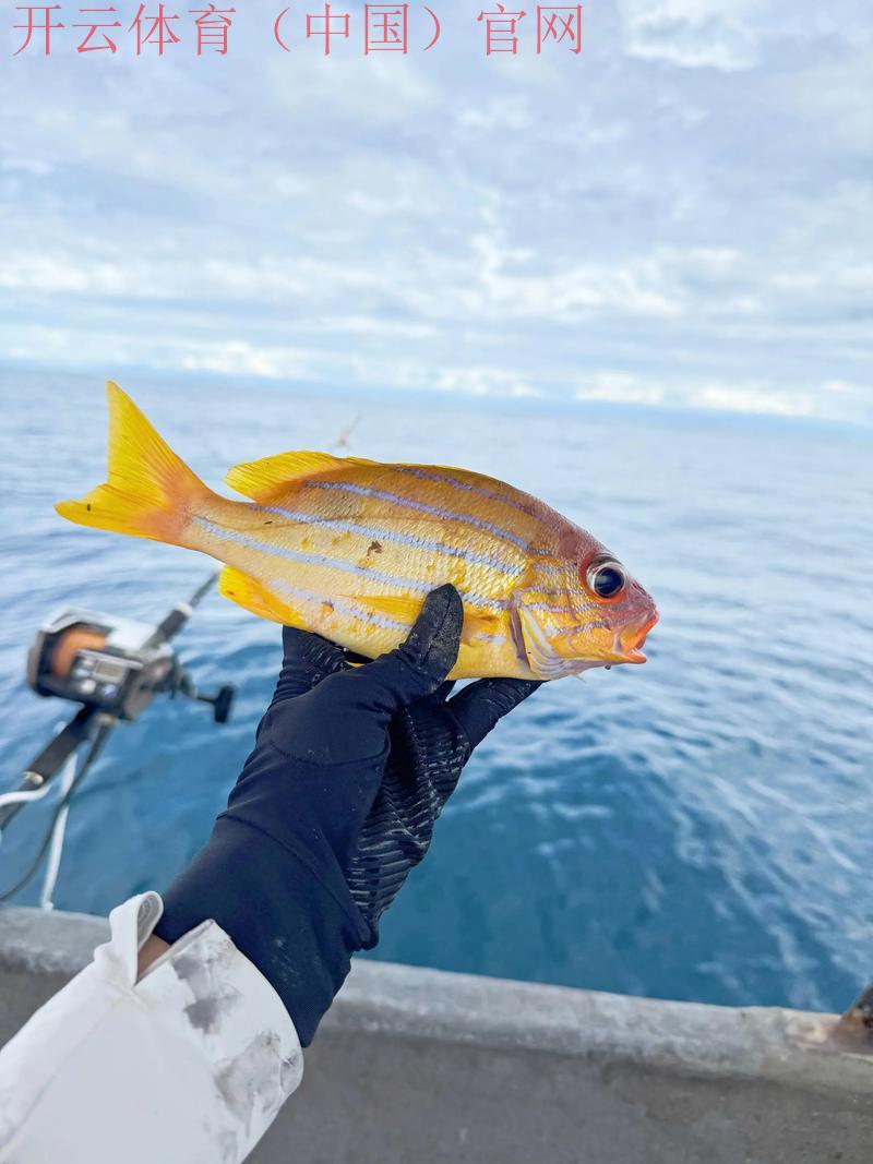 体育博彩沙巴皇冠波音, 探索沙巴皇冠波音平台的特色与优势